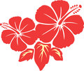 flower5366.jpg